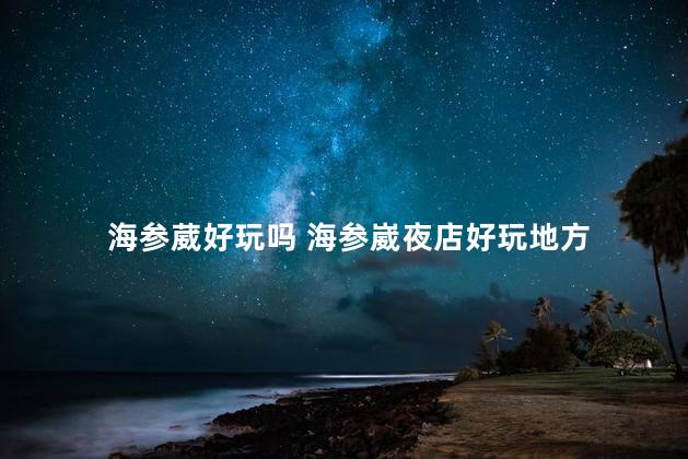 海参葳好玩吗 海参崴夜店好玩地方